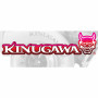 Kinugawa Turbo Systems